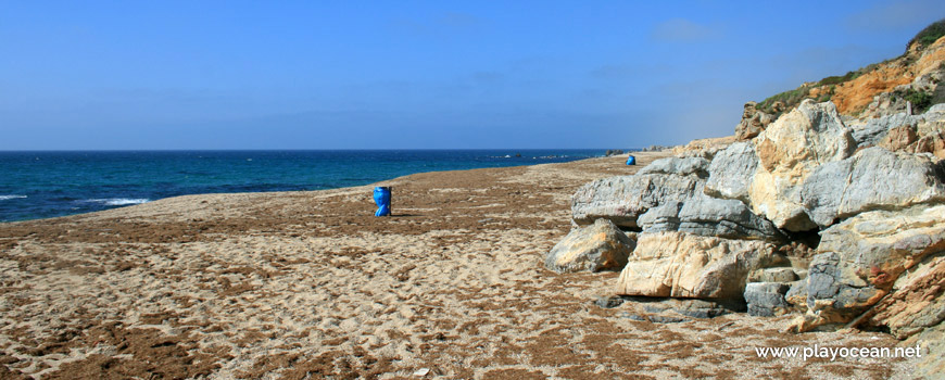 Algas no areal Praia do Canto Mosqueiro