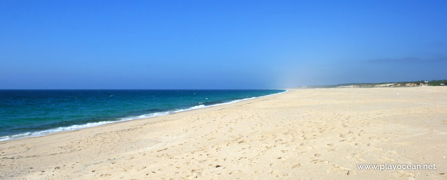 Praia da Guia Beach