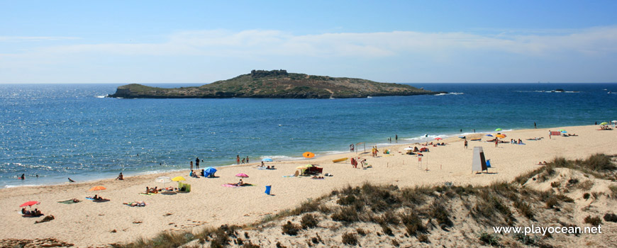 Sand of Praia da Ilha do Pessegueiro Beach