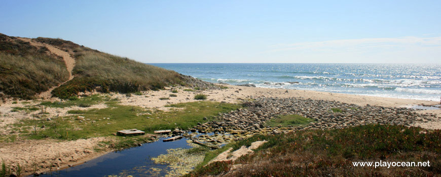 Praia do Queimado Beach stream