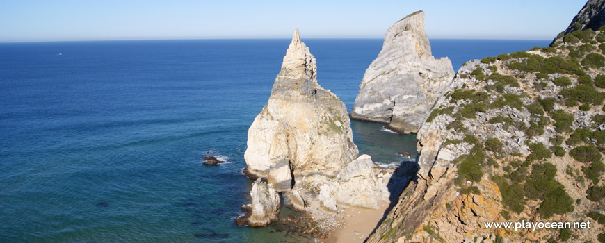 Bear an Giant at Praia da Ursa Beach