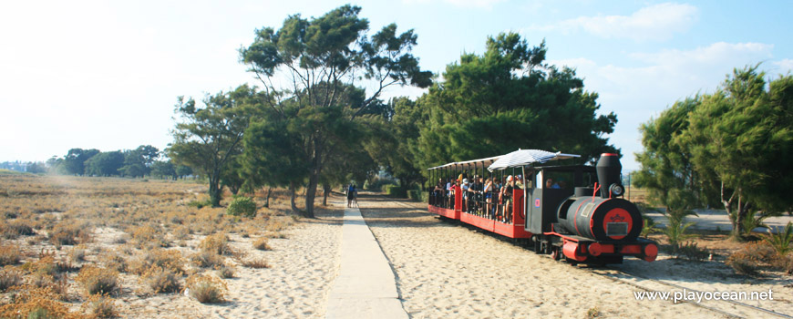 Train, Praia do Barril Beach