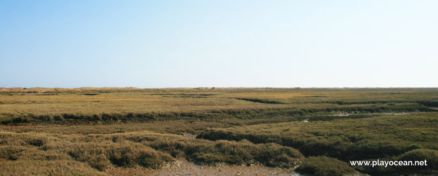 Marshland of the Formosa River