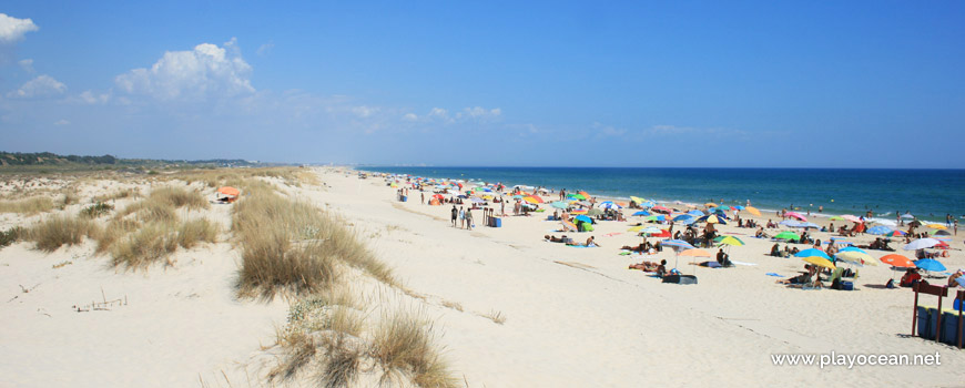 Este na Praia de Cabanas (Mar)