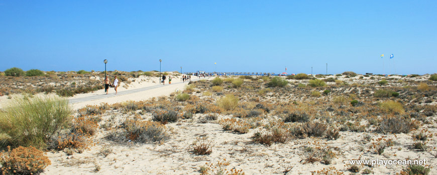 Acesso à Praia da Ilha de Tavira (Mar)