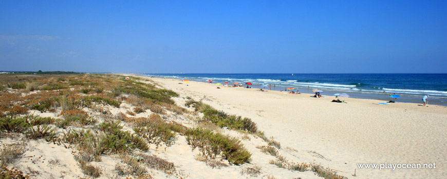 East at Praia da Terra Estreita Beach