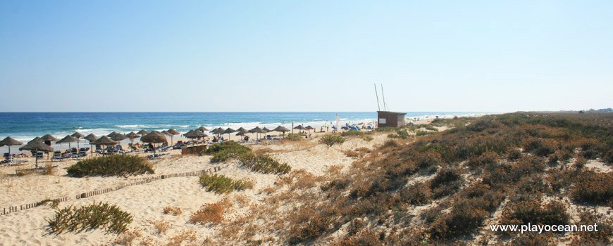 Oeste na Praia da Terra Estreita