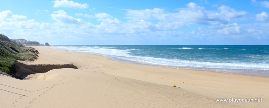 South at Praia do Navio Beach