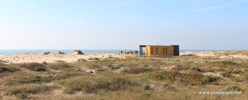 Dunas na Praia de Santa Rita (Sul)