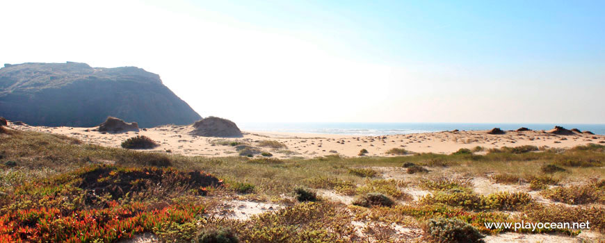 Vegetação na Praia de Santa Rita (Sul)