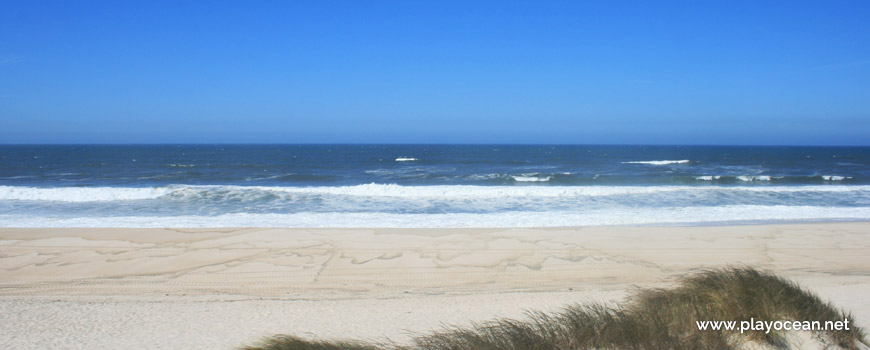 Sea at Praia do Areão Beach