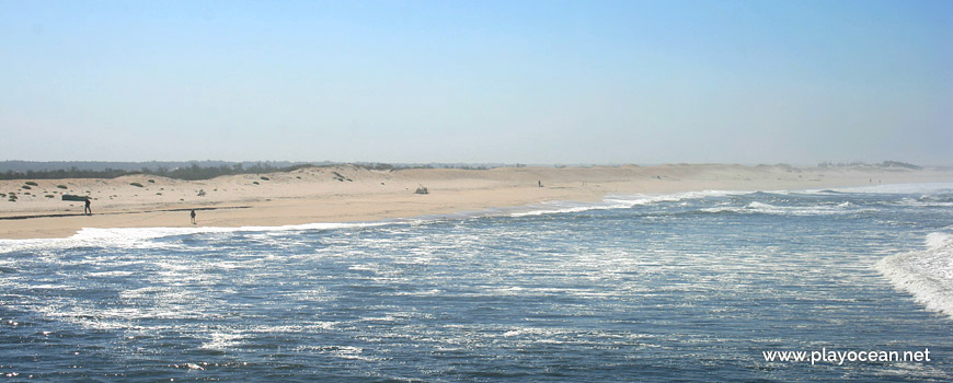 Panoramic of Praia da Duna Alta Beach