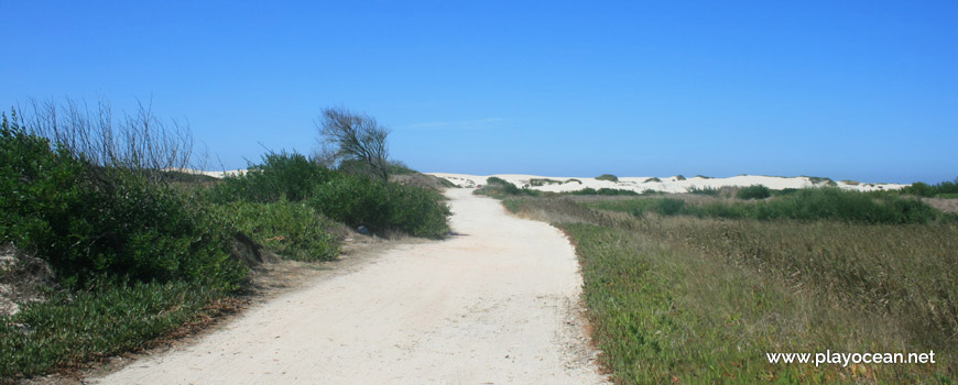 Caminho para a Praia da Duna Alta