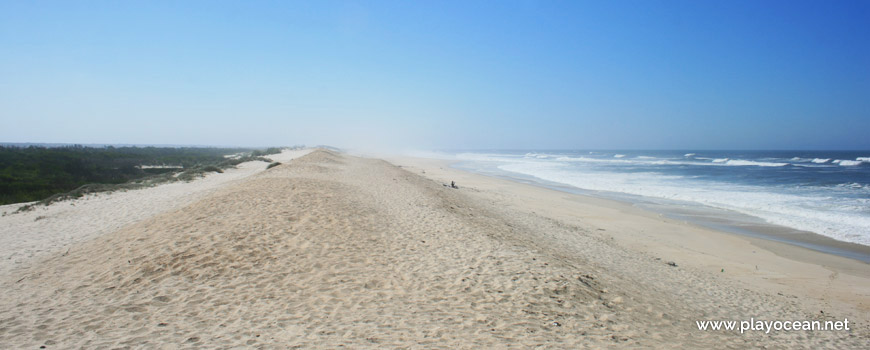 South of Praia da Duna Alta Beach