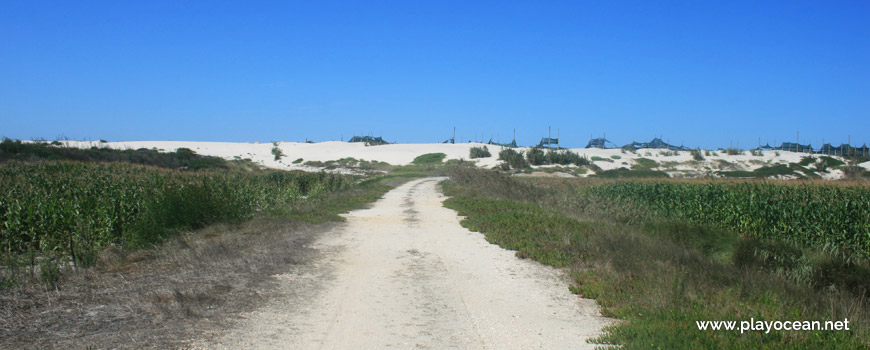 Caminho para a Praia da Gafanha da Boa Hora