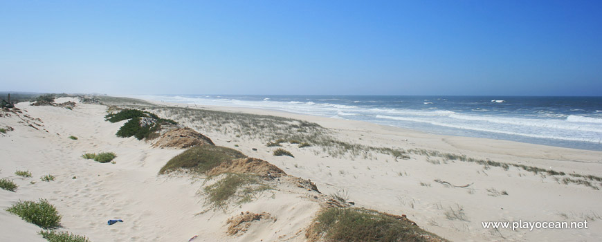 South of Praia da Gafanha da Boa Hora Beach