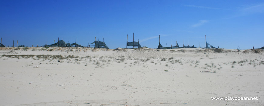 Duna na Praia da Gafanha da Boa Hora