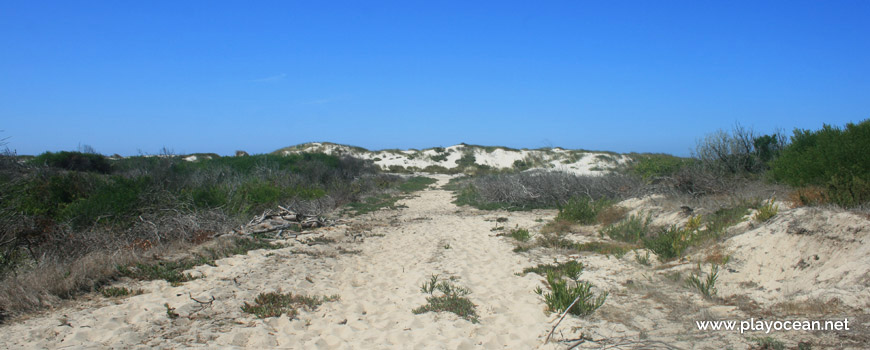 Path to Praia da Ponte da Vagueira Beach