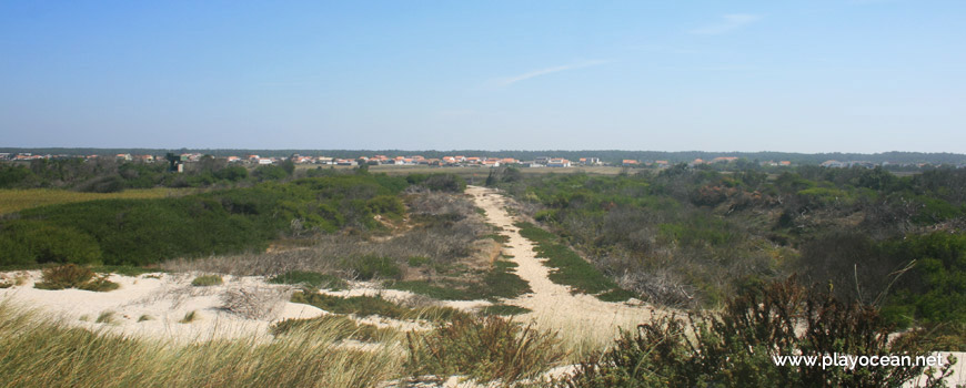 Exit of Praia da Ponte da Vagueira Beach