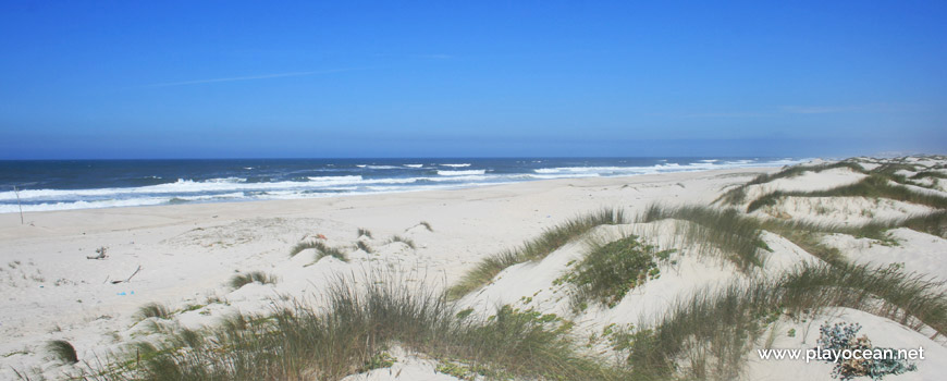 Dunes at Praia da Ponte da Vagueira Beach