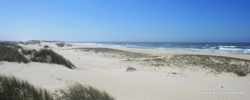 Praia da Ponte da Vagueira Beach