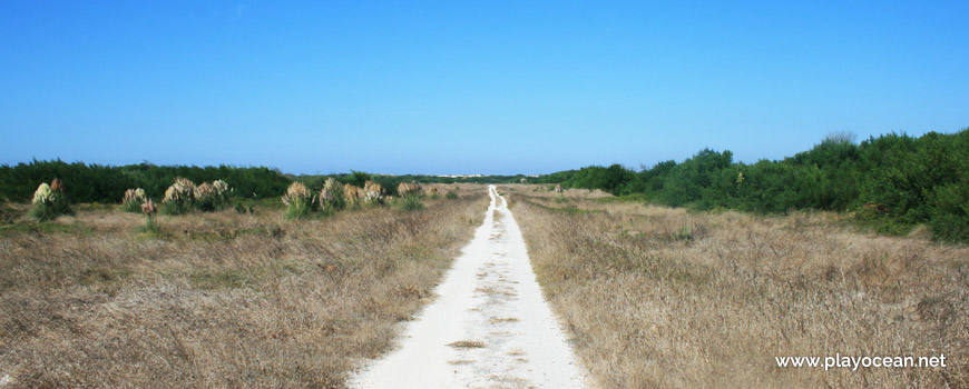 Access to Praia da Vagueira (North) Beach