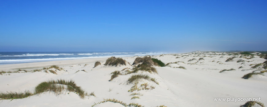 Dunas, Praia da Vagueira (Norte)