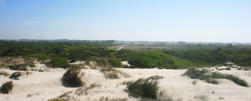 Exit of Praia da Vagueira (North) Beach