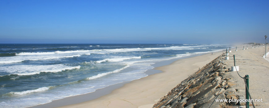 North of Praia da Vagueira Beach