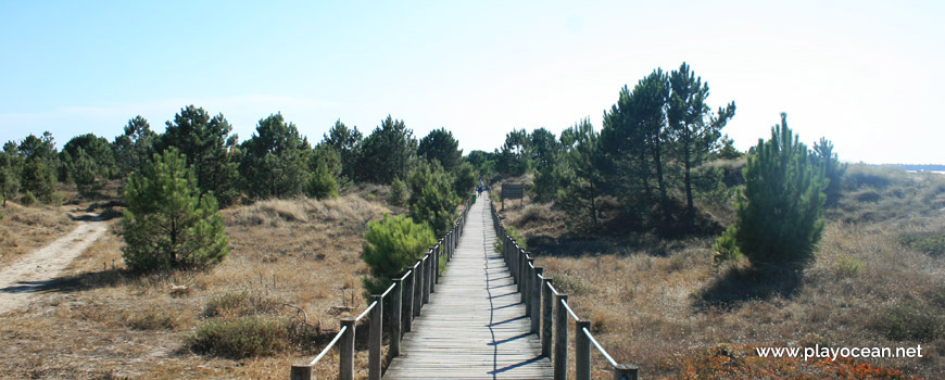 Access to Praia do Cabedelo Beach