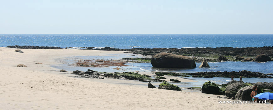 Whale at Praia de Carreço Beach