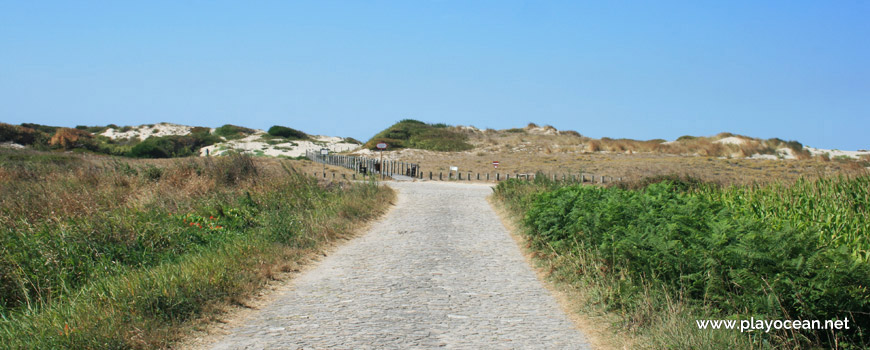 Estrada para a Praia da Ínsua