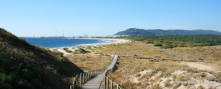 Rede de passadiços na Praia do Rodanho