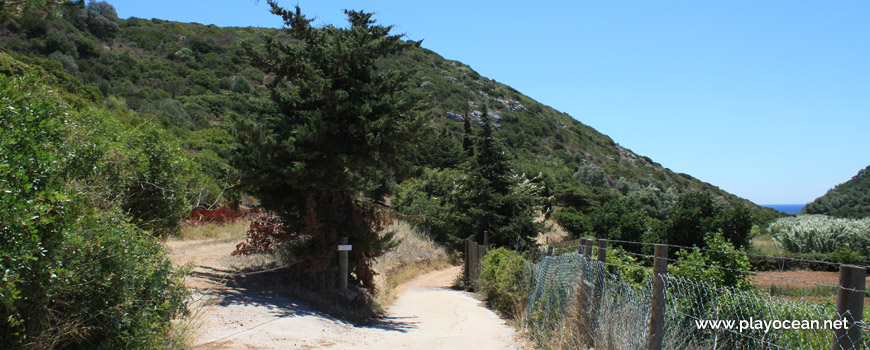 Access to Praia da Figueira Beach