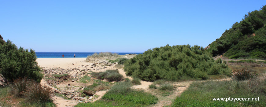 The Figueira Stream