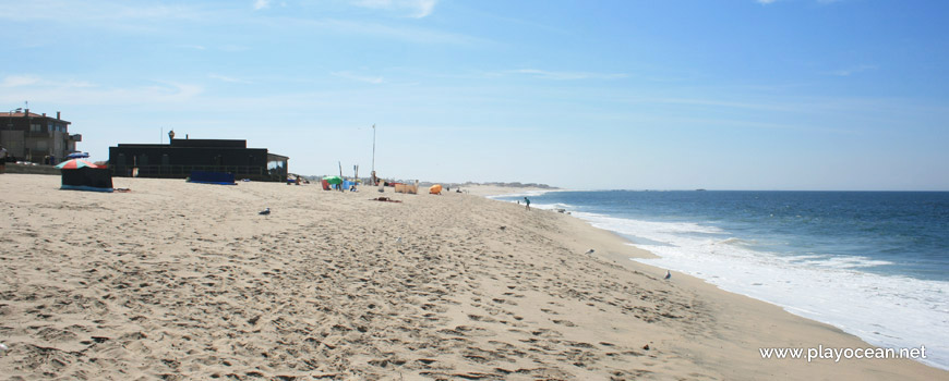 South of Praia de Árvore Beach