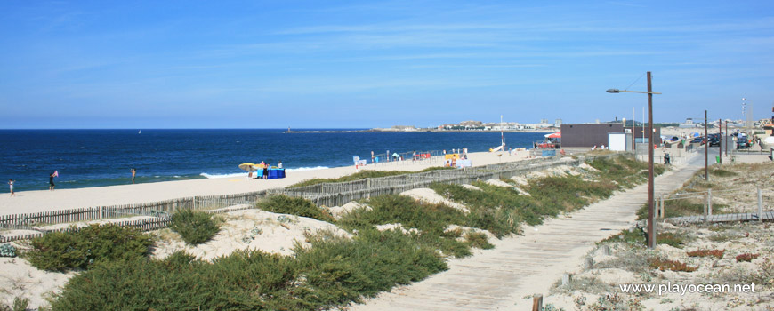 Dunas protegidas, Praia de Árvore