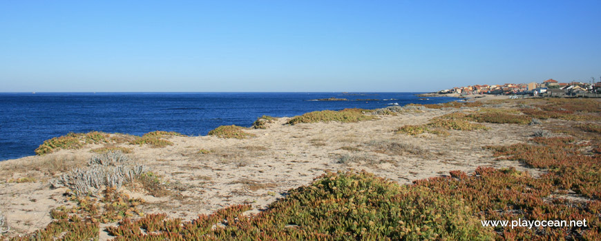 Dunes at Praia de Moreiró (North) Beach