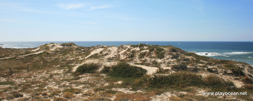 Dunas na Praia do Pinhal dos Eléctricos