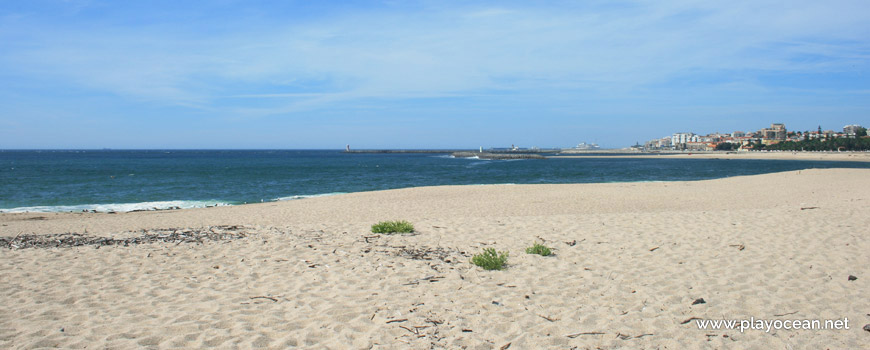 Praia do Cabedelo do Douro Beach