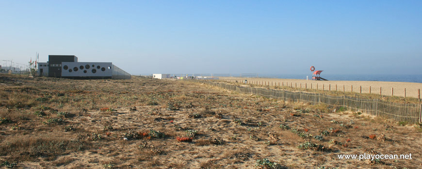 Dunes at Praia de Canide (North) Beach