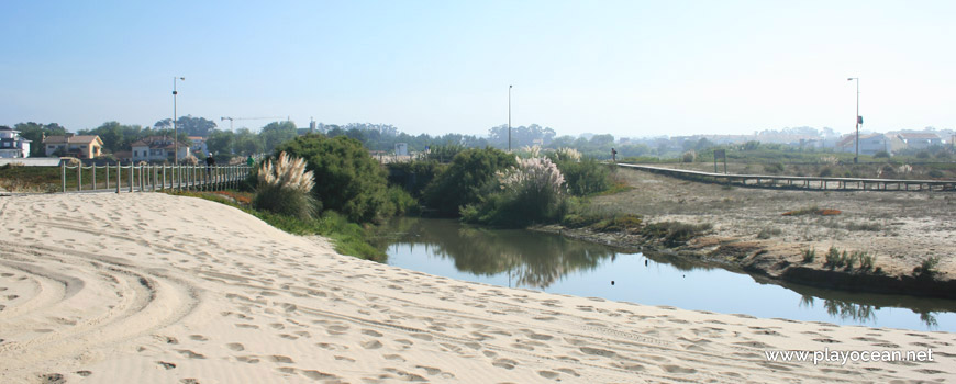 The Canelas Stream