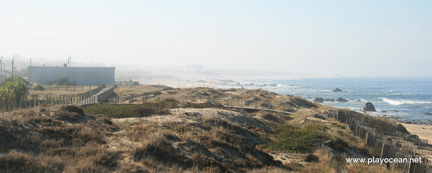 Dunas na Praia da Madalena (Sul)