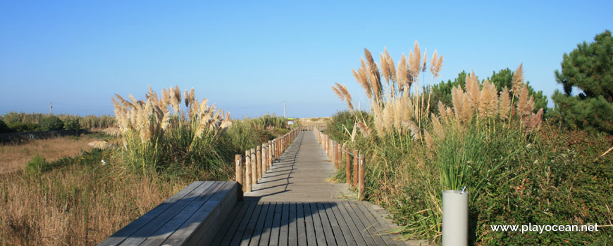 Access to Praia de Marbelo Beach