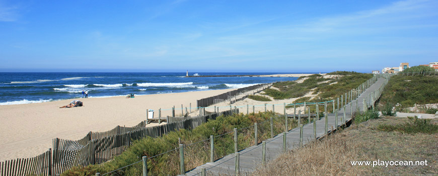 Dunas na Praia da Sétima Arte