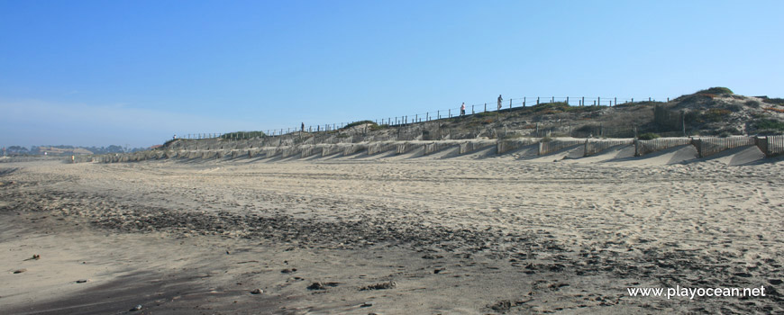 Dunas na Praia de Valadares (Sul)