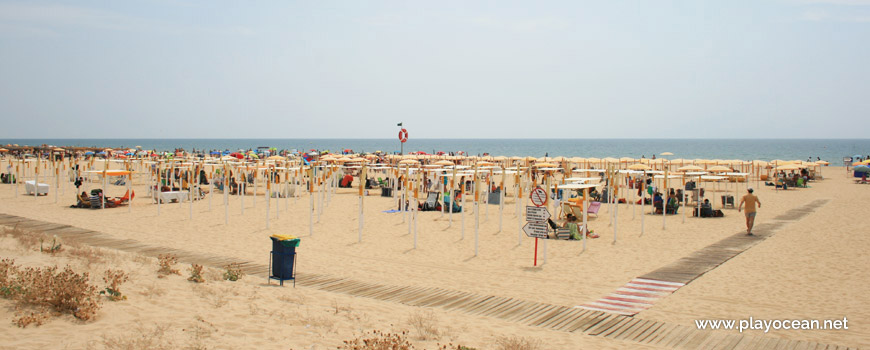 Toldos na Praia de Monte Gordo