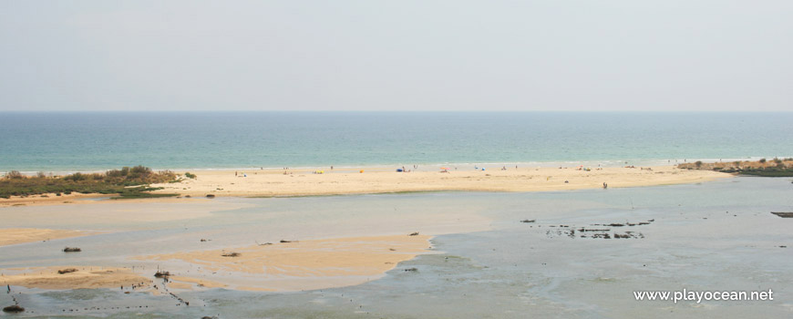 Restinga na Praia de Cacela Velha