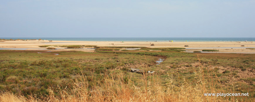 Salt marsh at Praia de Cacela Velha Beach