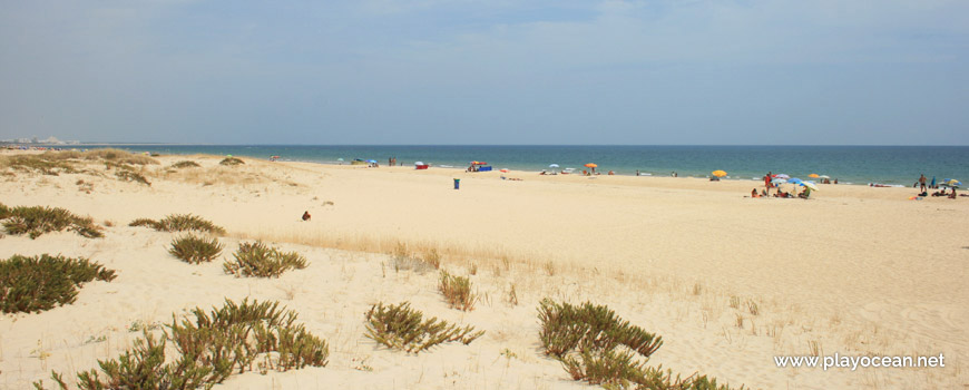 Praia da Lota